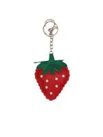 מחזיק מפתחות