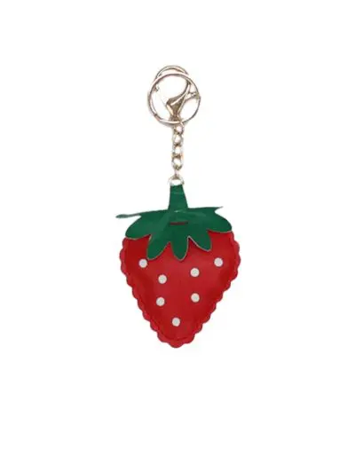 מחזיק מפתחות