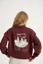 ⁦טופ פוטר הארי פוטר⁩ – תמונה ⁦5⁩