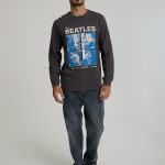 ח. ארוכה ביטלס