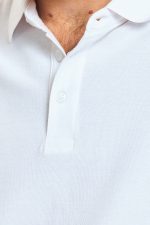 ⁦ח. פולו פיקה⁩ – תמונה ⁦4⁩