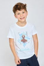 ח. עם הדפס Avatar