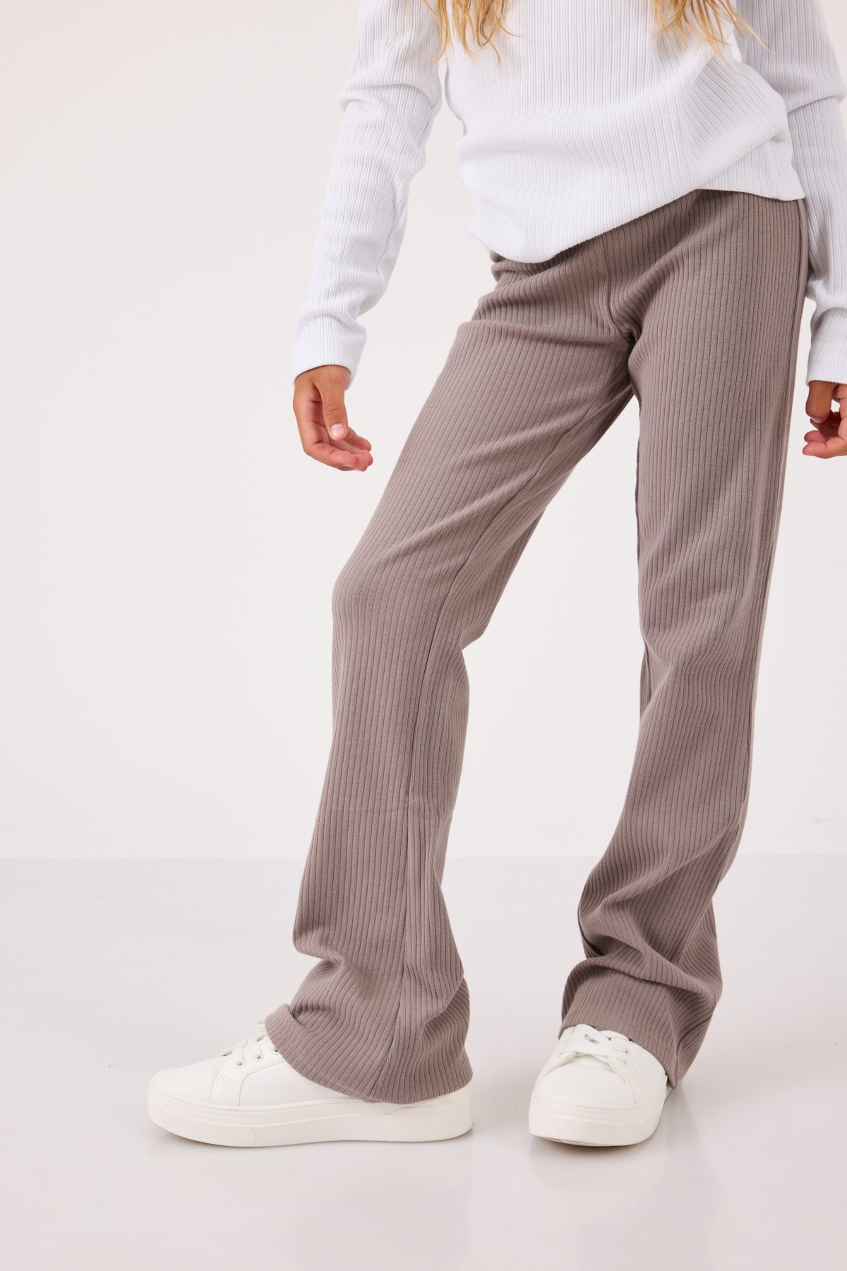 ⁦טייץ ריב מתרחב⁩ – תמונה ⁦2⁩