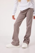 ⁦טייץ ריב מתרחב⁩ – תמונה ⁦2⁩