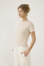 ⁦ח. ריב פסים⁩ – תמונה ⁦2⁩