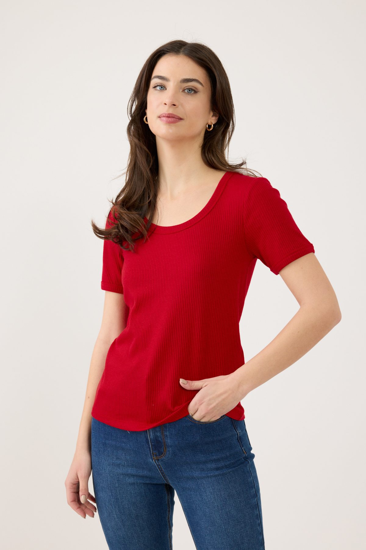 ⁦טופ ריב בייסיק⁩ – תמונה ⁦3⁩