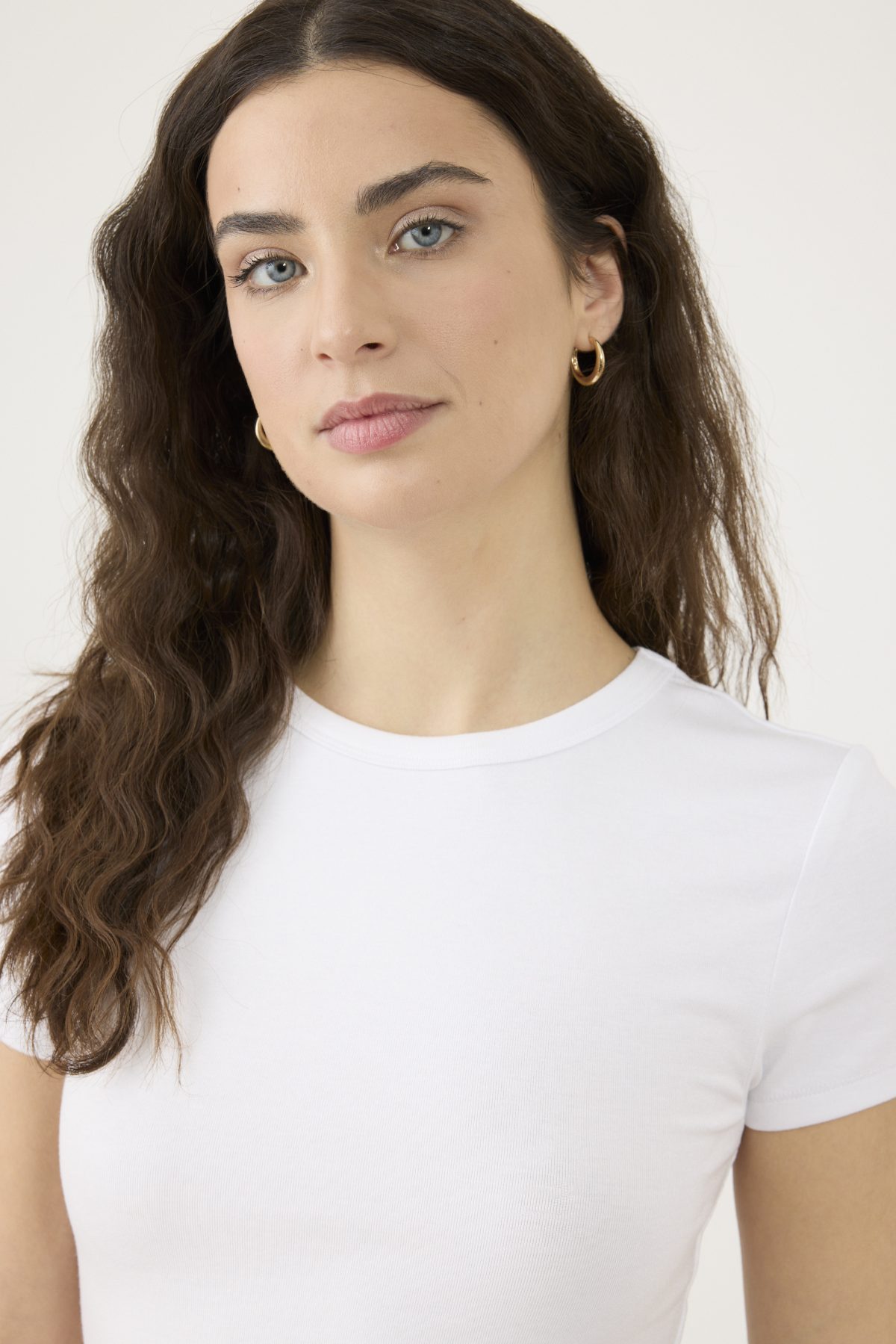 ⁦טופ קרופ⁩ – תמונה ⁦4⁩