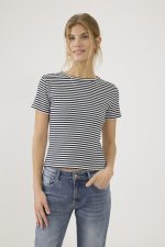 ⁦ח. ריב פסים⁩ – תמונה ⁦4⁩