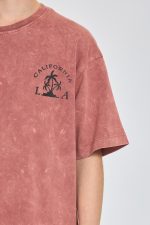 ח. שטופה עם הדפס