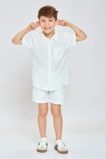 ⁦ברמודה טטרה  - חלק מסט⁩ – תמונה ⁦2⁩