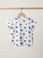 ⁦שלישיית ח. עם הדפס⁩ – תמונה ⁦3⁩