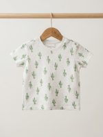 ⁦שלישיית ח. עם הדפס⁩ – תמונה ⁦3⁩